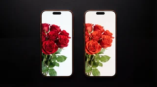iPhone screens being compared on a clean repair workbench